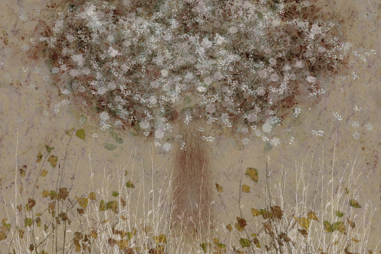 All seasons Poster och Canvastavla