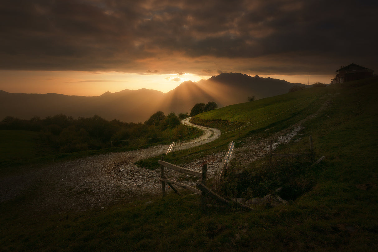 Path to the sun Poster och Canvastavla