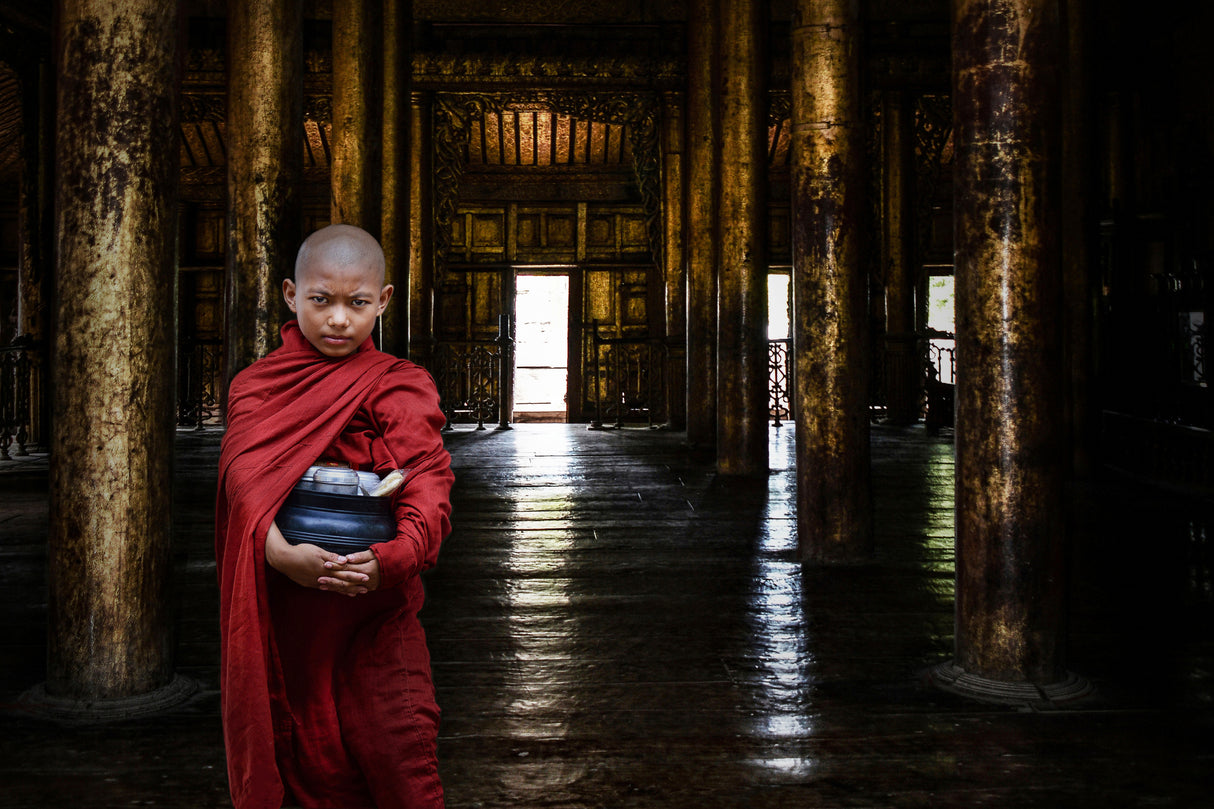 Young burmese monk Poster och Canvastavla