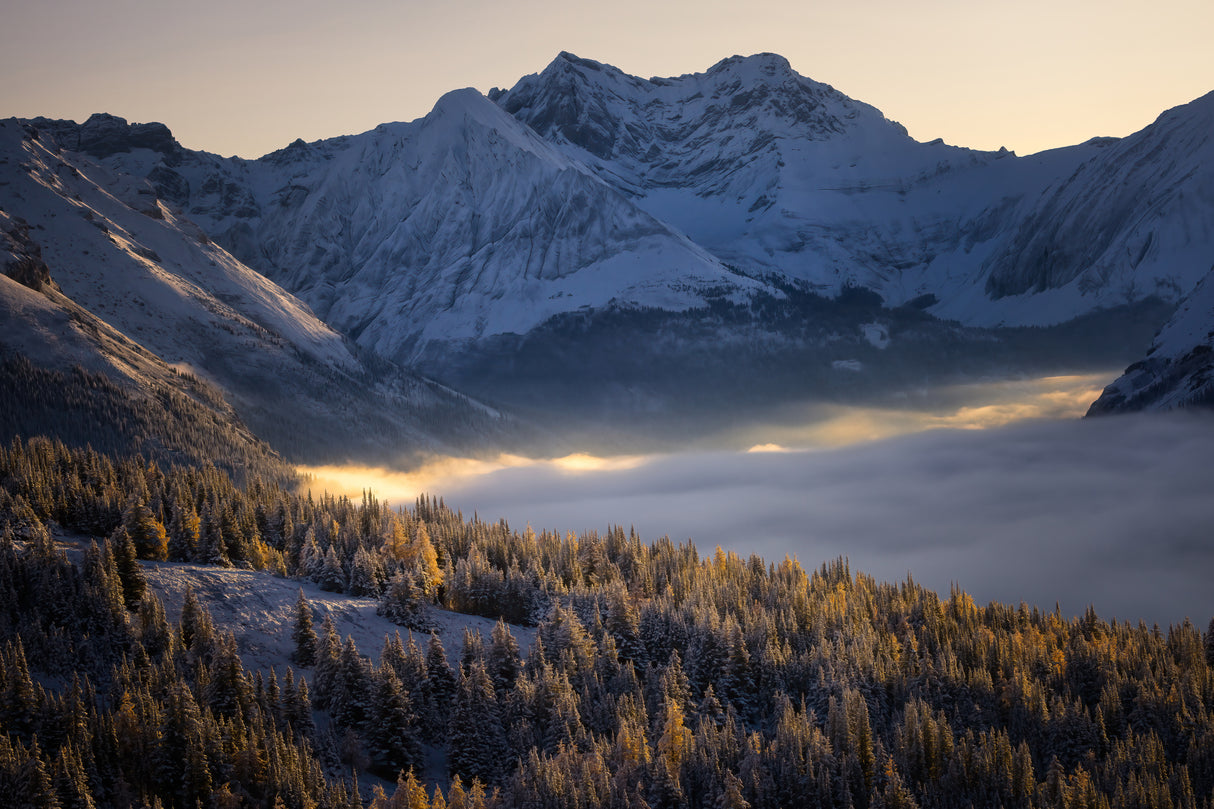 Misty Mountain Morning Poster och Canvastavla