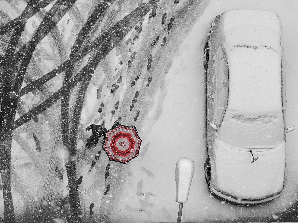 winter passengers Poster och Canvastavla