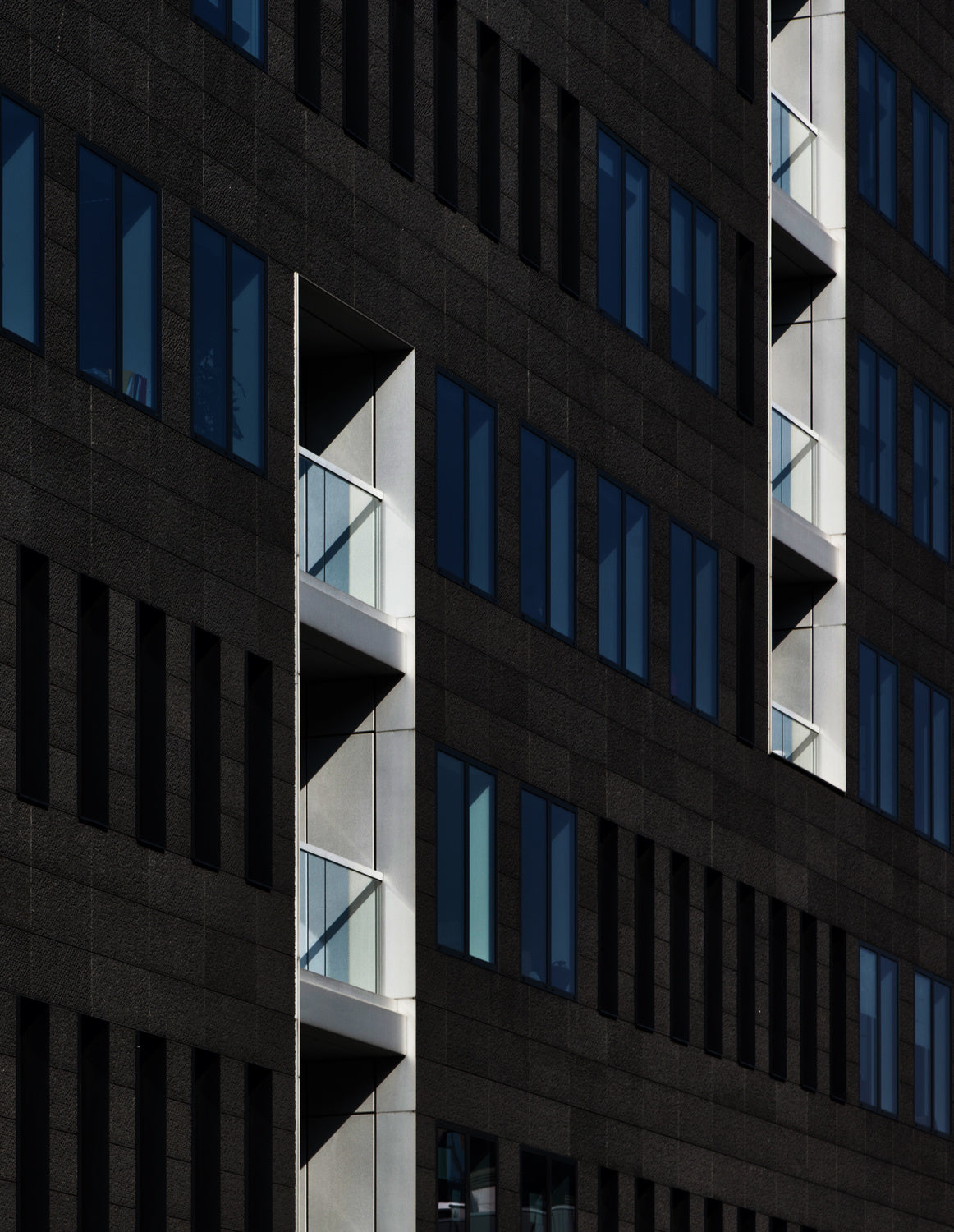 A place in the sun Poster och Canvastavla