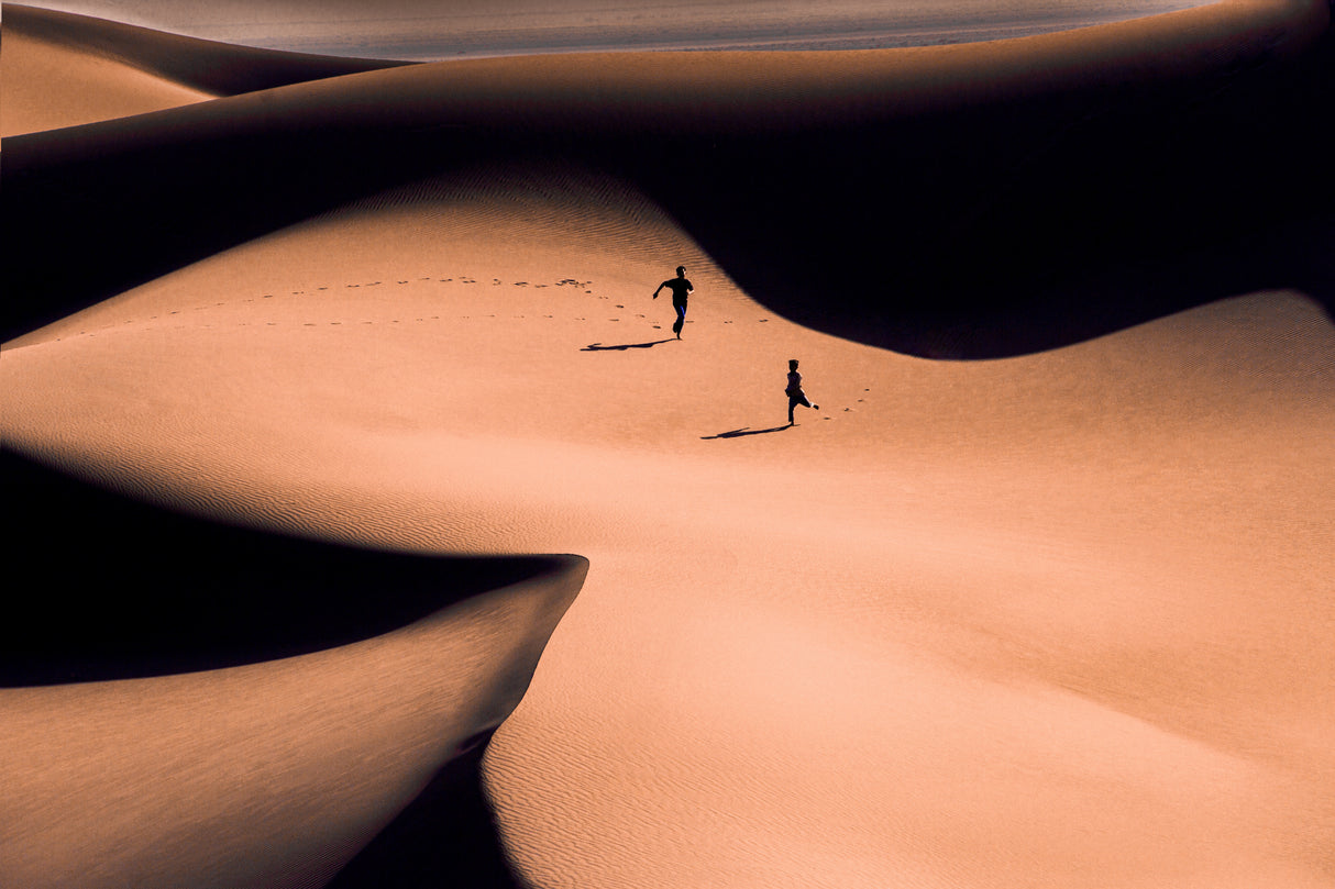 Desert Runners Poster och Canvastavla