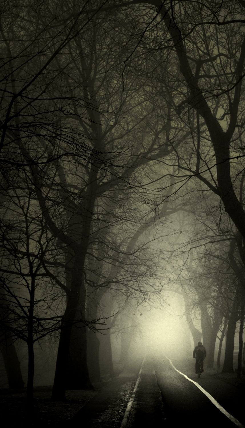 Misty morning Poster och Canvastavla