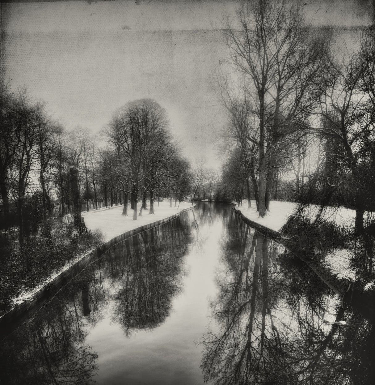 Walking in a winter canvas Poster och Canvastavla
