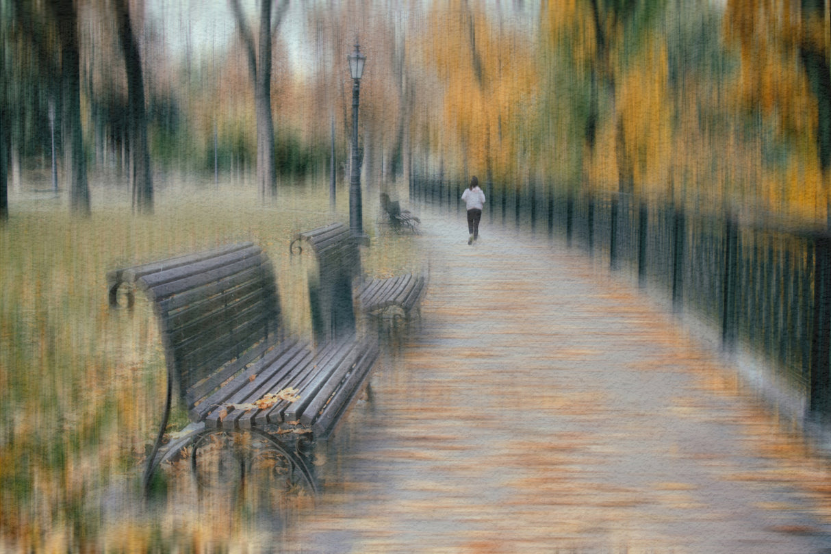 Autumn park Poster och Canvastavla