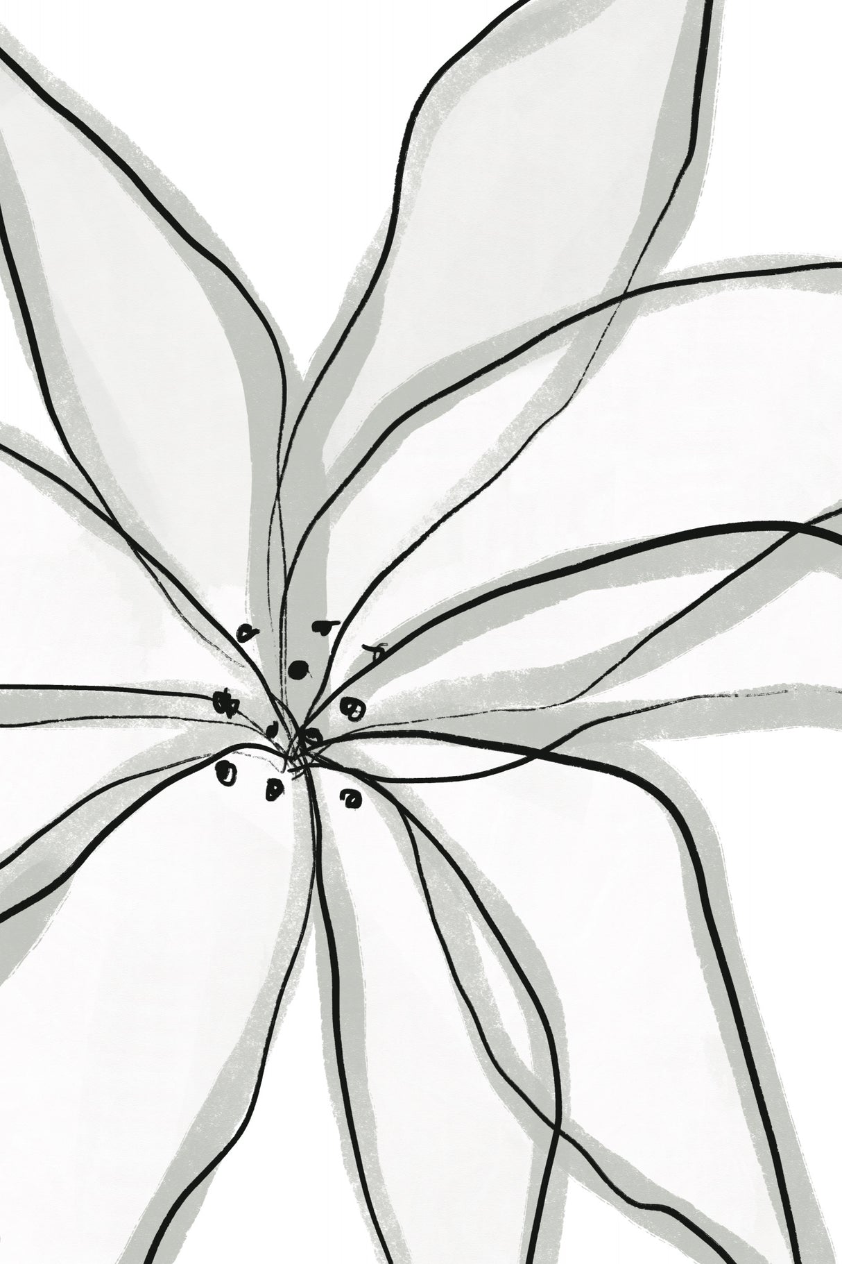 Fragile Flower Poster och Canvastavla