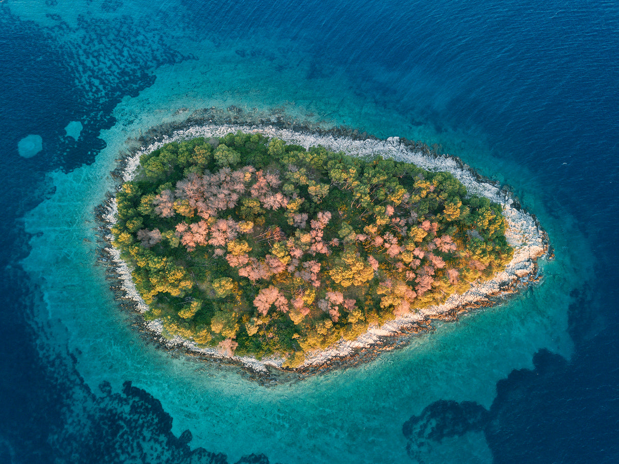 Island Poster och Canvastavla