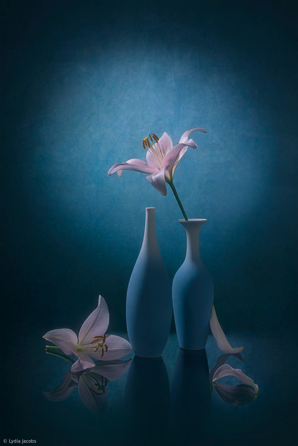 Pink Lily Poster och Canvastavla