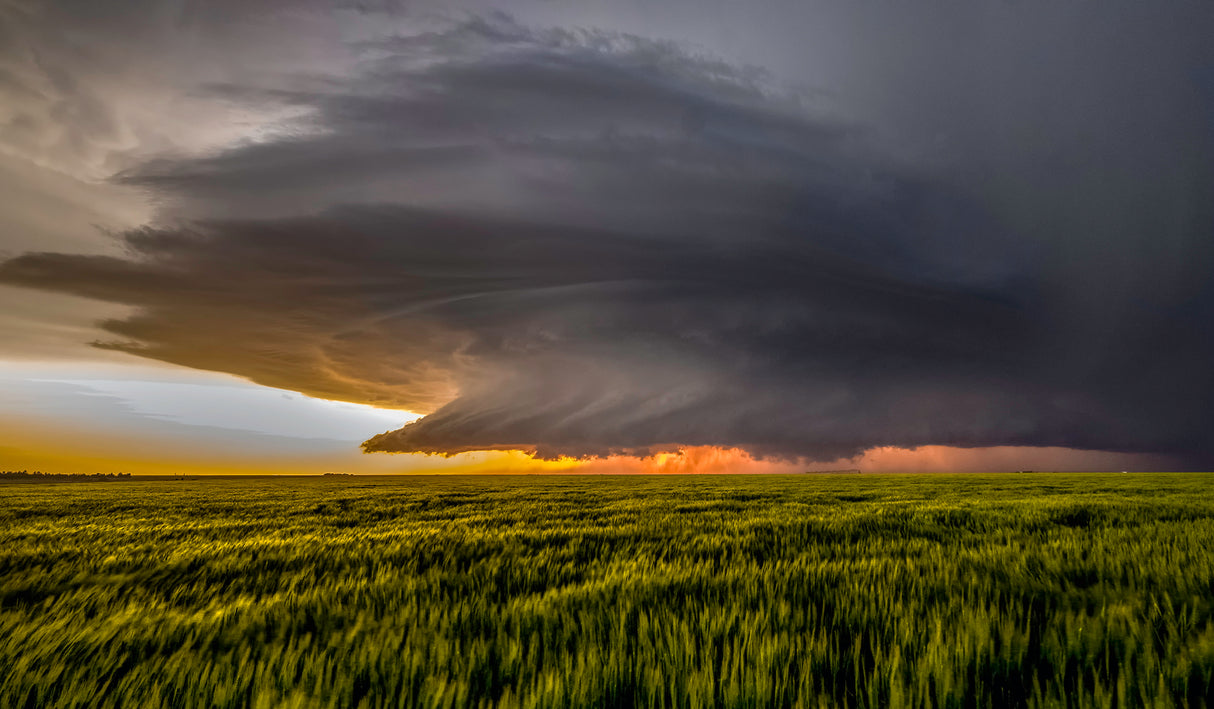 Storm at Sunset Poster och Canvastavla