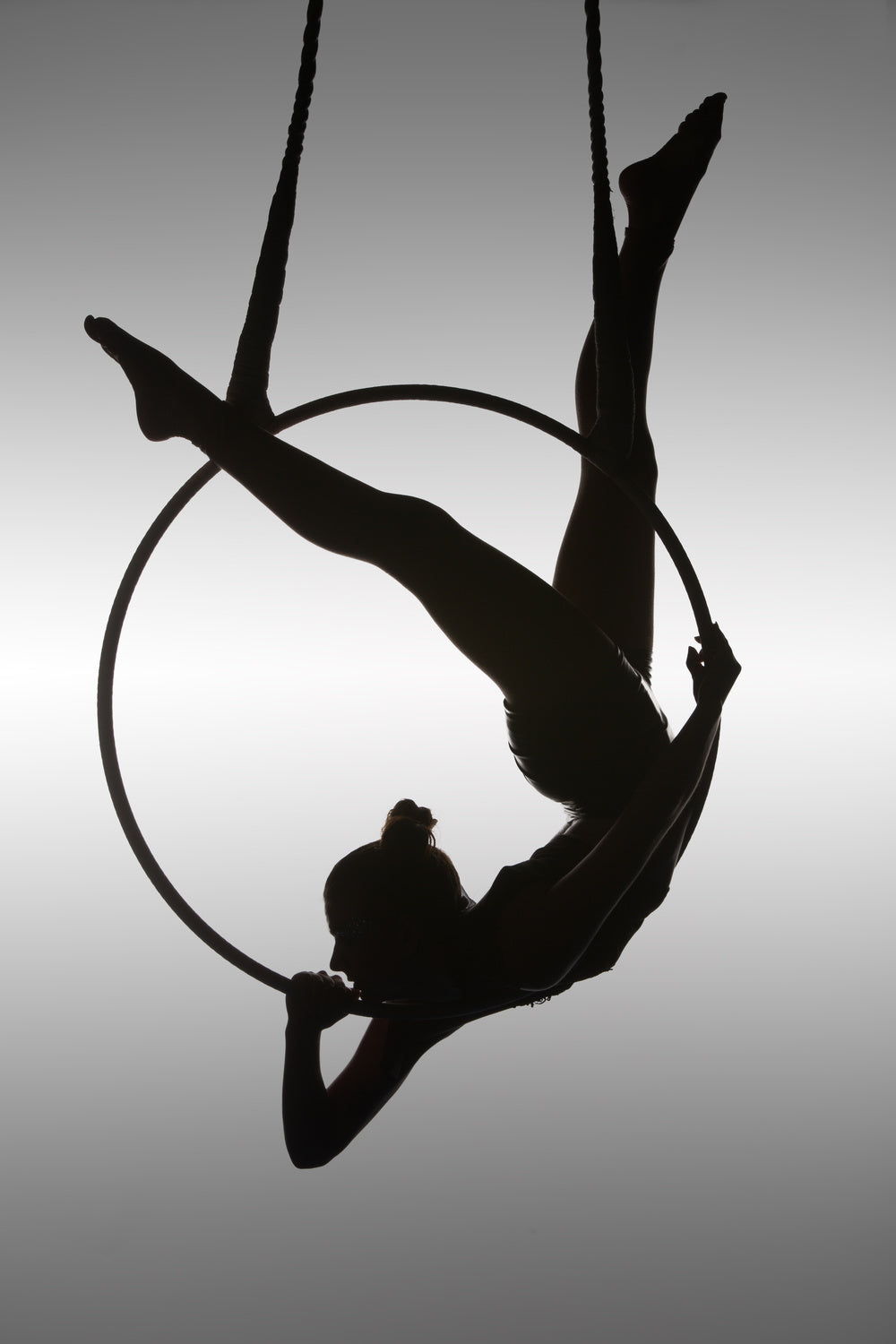 The Aerialist Poster och Canvastavla