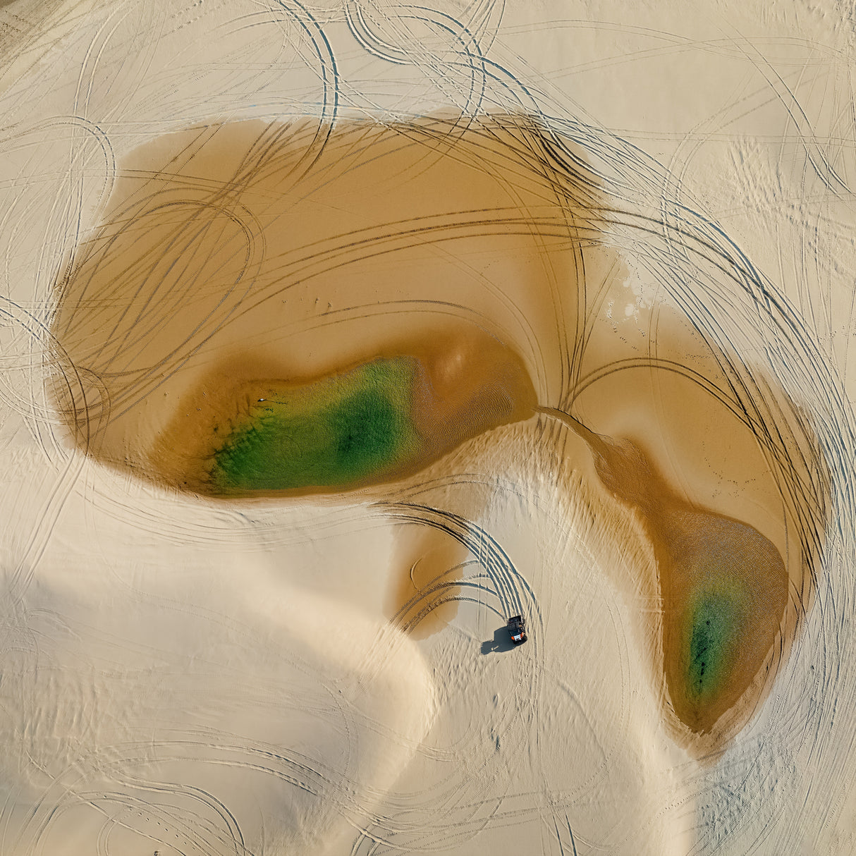 Sand dune ATV park Poster och Canvastavla