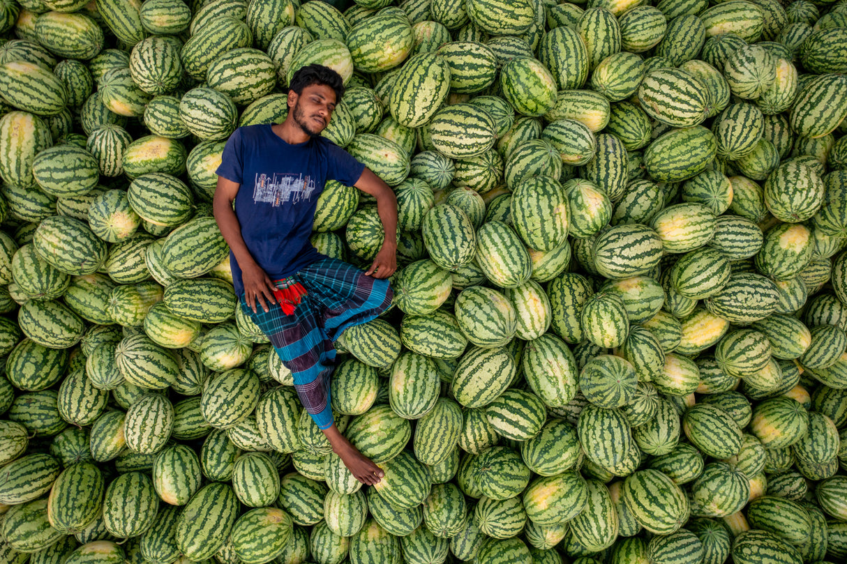 Sleep over the watermelons Poster och Canvastavla