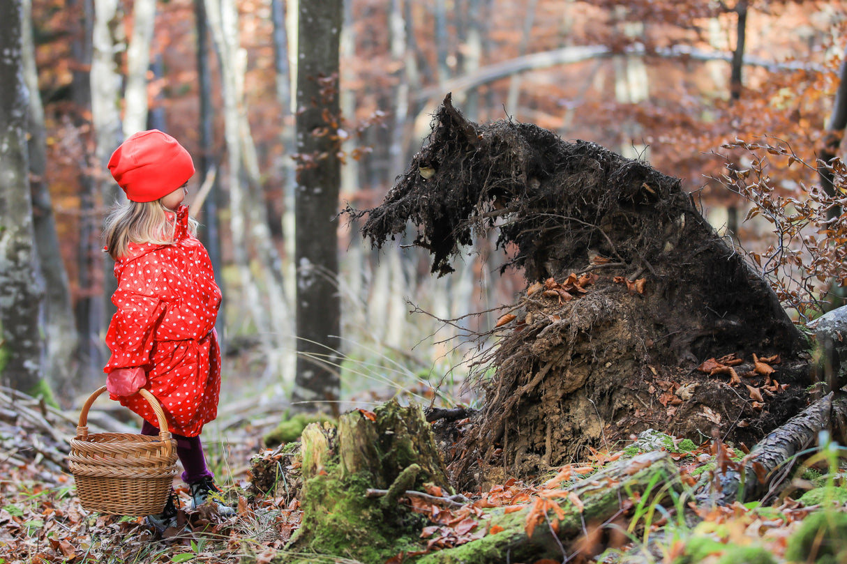 Little Red Riding Hood and The Wolf Poster och Canvastavla