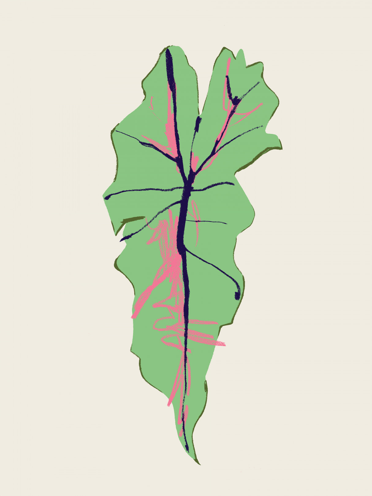 Alocasia Polly Poster och Canvastavla