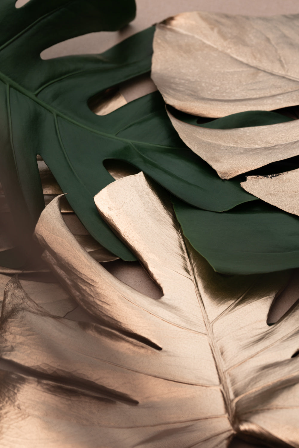 Monstera Mix 01 Poster och Canvastavla