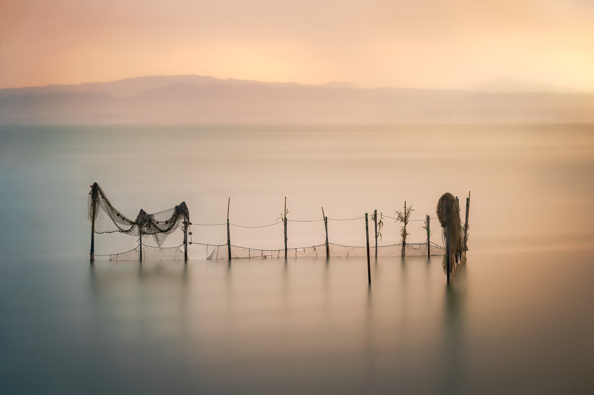 Sunset in L'Albufera Poster och Canvastavla