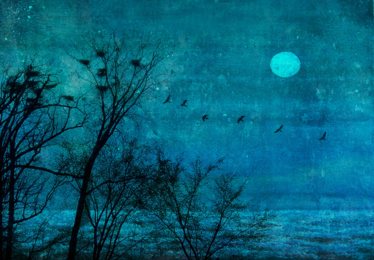 Birds Of Passage Poster och Canvastavla