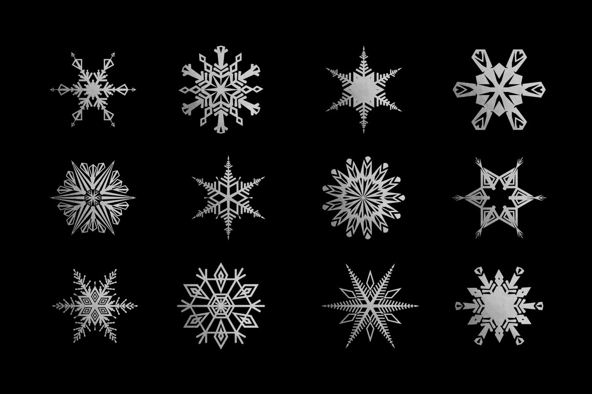 Twelve geometric snowflakes in black Poster och Canvastavla