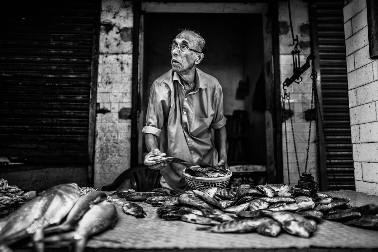 The fish market Poster och Canvastavla