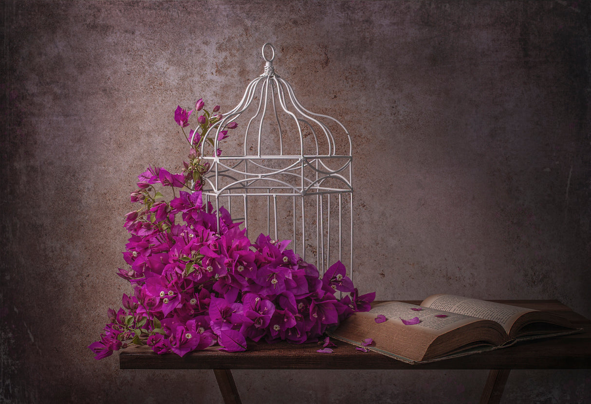 A little color in life! Poster och Canvastavla