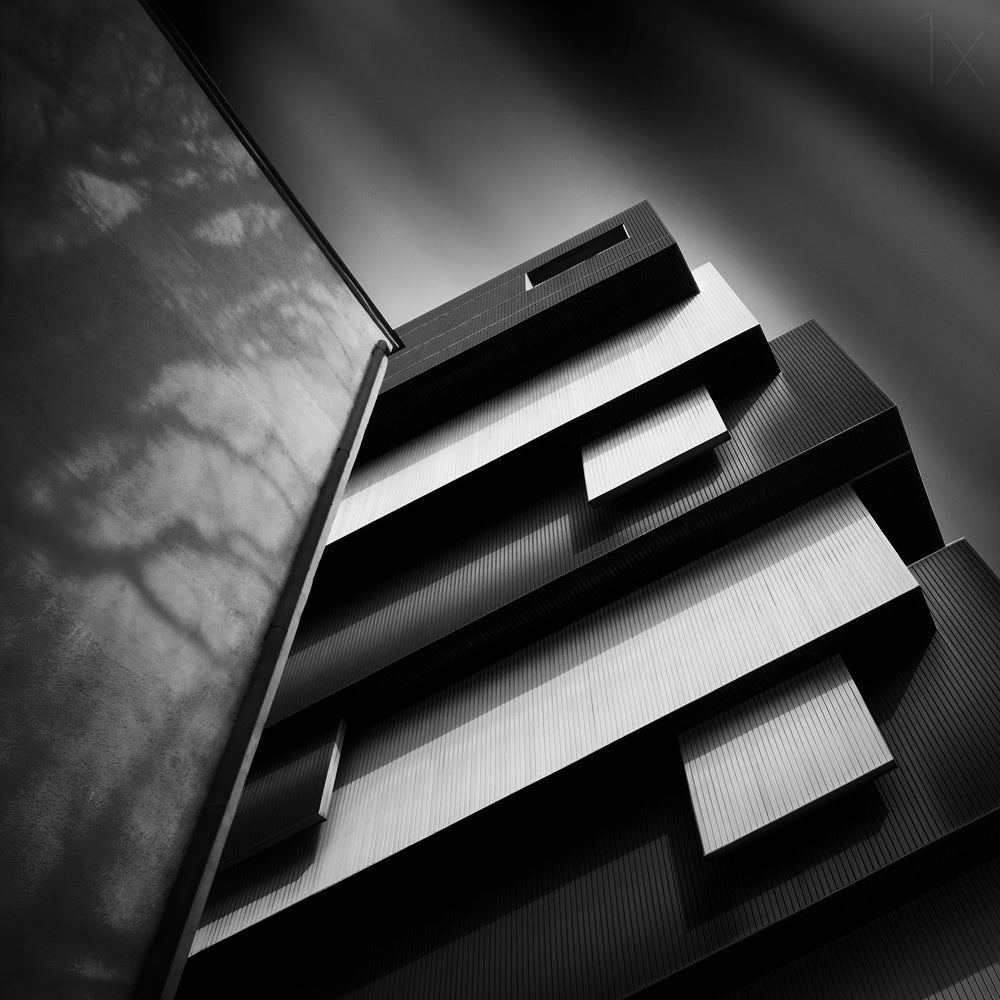 black & white Poster och Canvastavla
