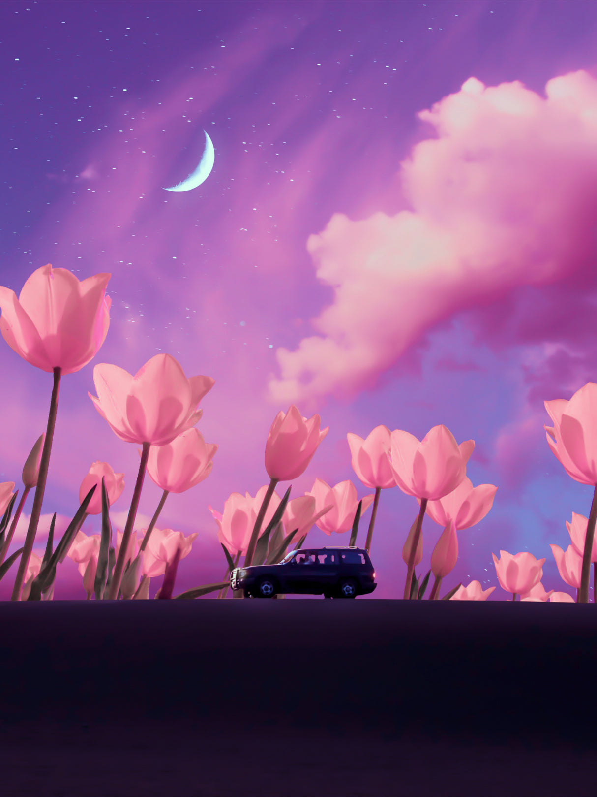 Mystical Journey Poster och Canvastavla
