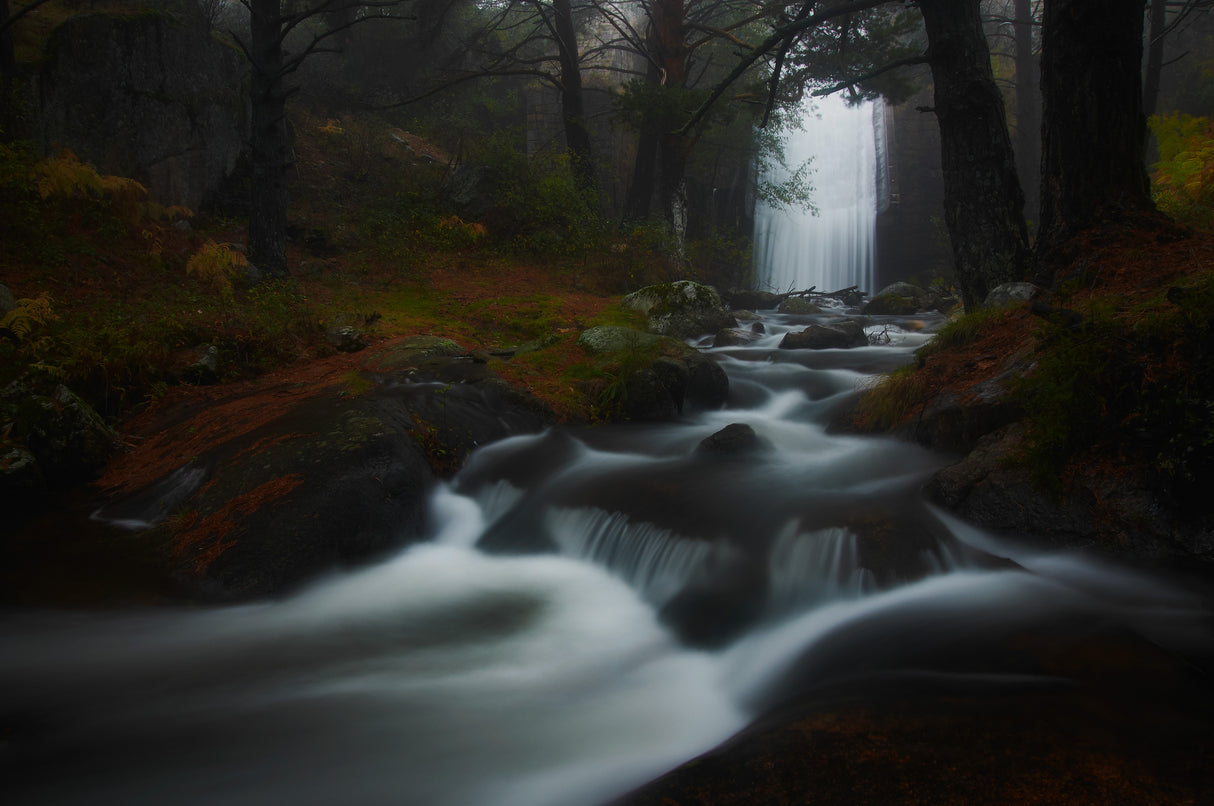 Deep in the forest - The waterfall Poster och Canvastavla