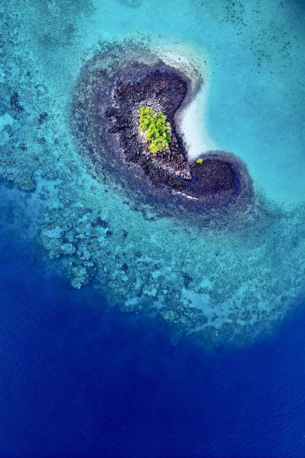 Slice of paradise Poster och Canvastavla