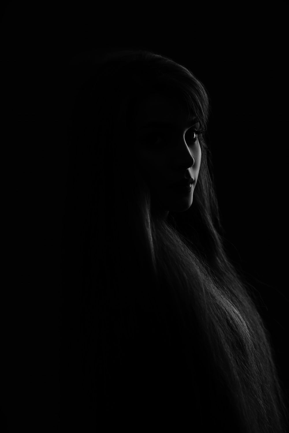 shadow Poster och Canvastavla