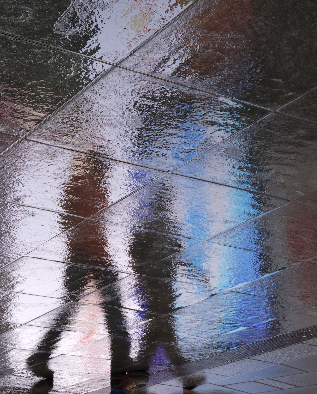Walking Reflections Poster och Canvastavla