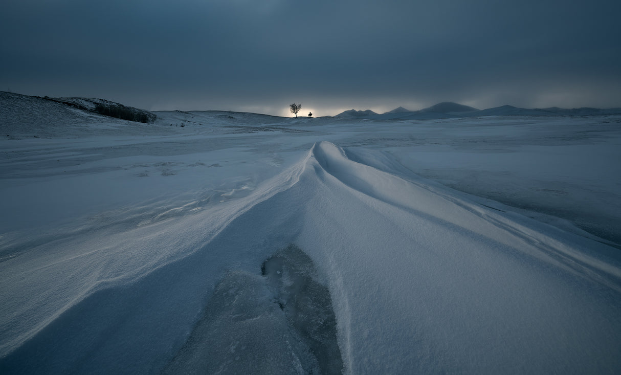 The sunrise in winter Poster och Canvastavla