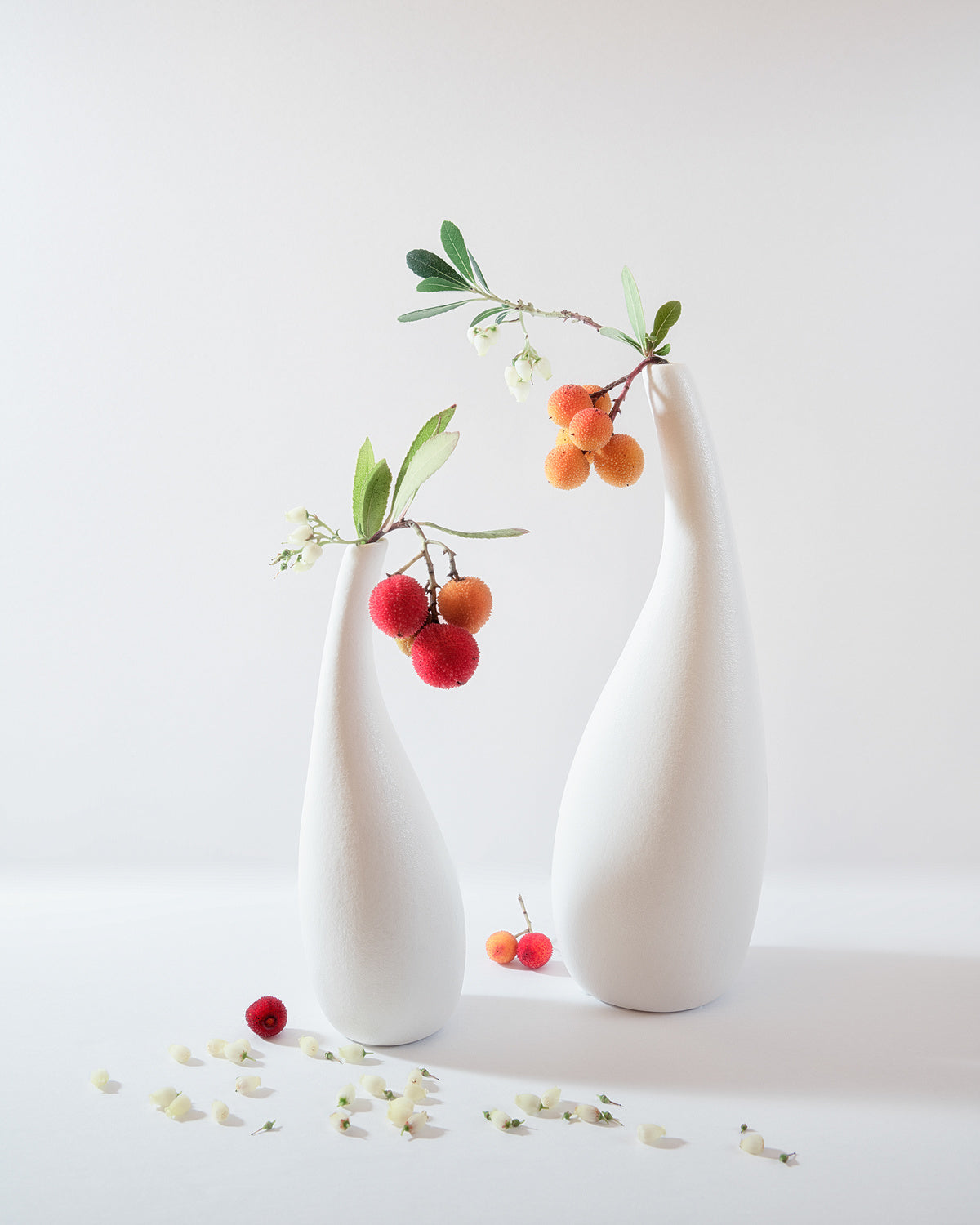 Strawberry Tree Fruit and Flower Poster och Canvastavla