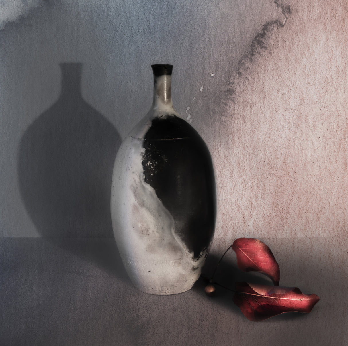 vase and shadow Poster och Canvastavla