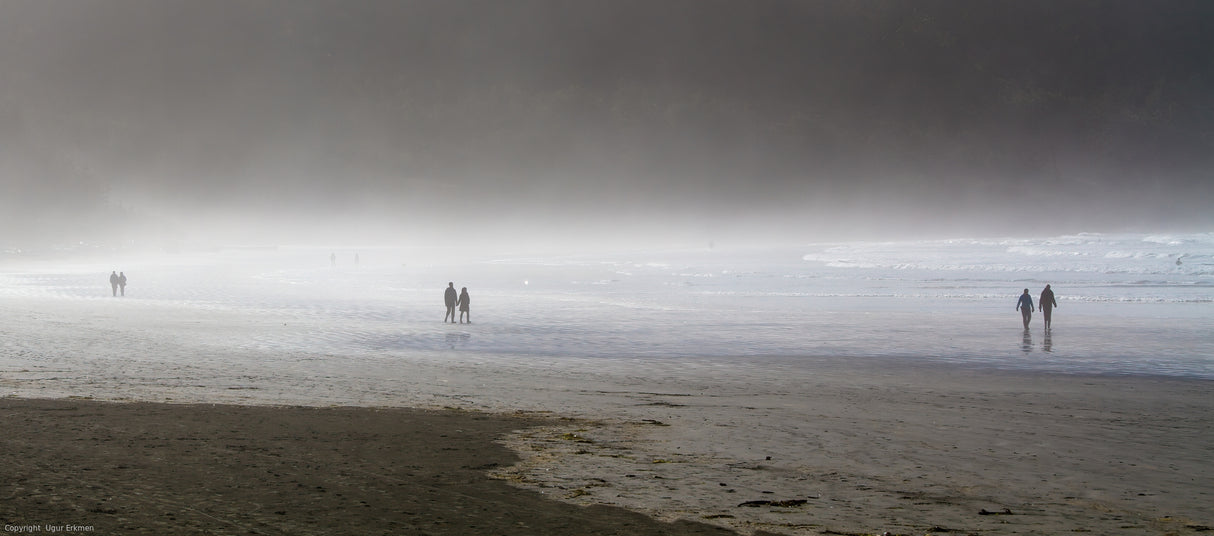 In a foggy day Poster och Canvastavla