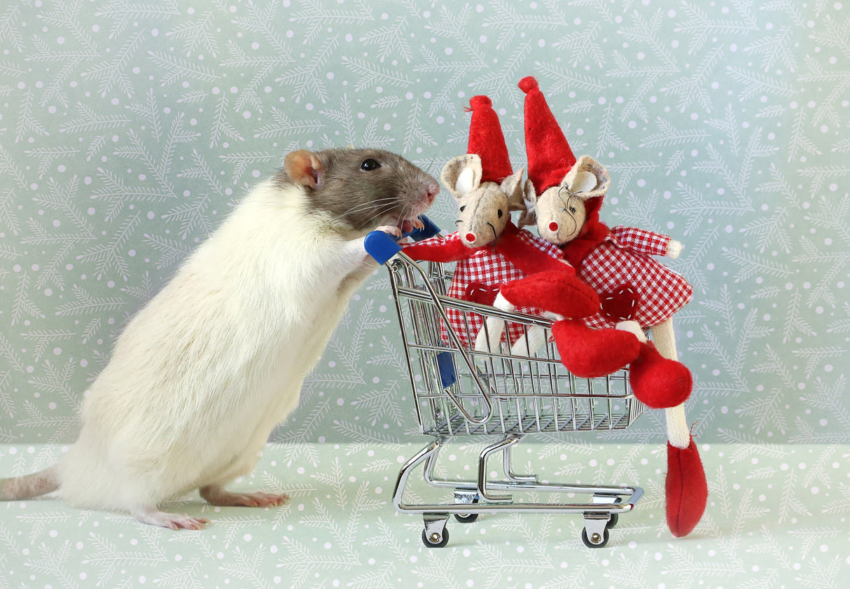 Christmas shopping Poster och Canvastavla
