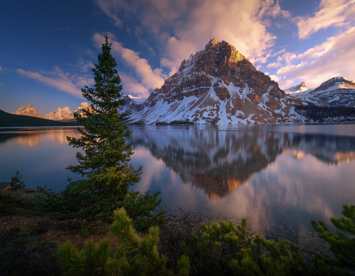 Atardecer en Bow Lake. Poster och Canvastavla