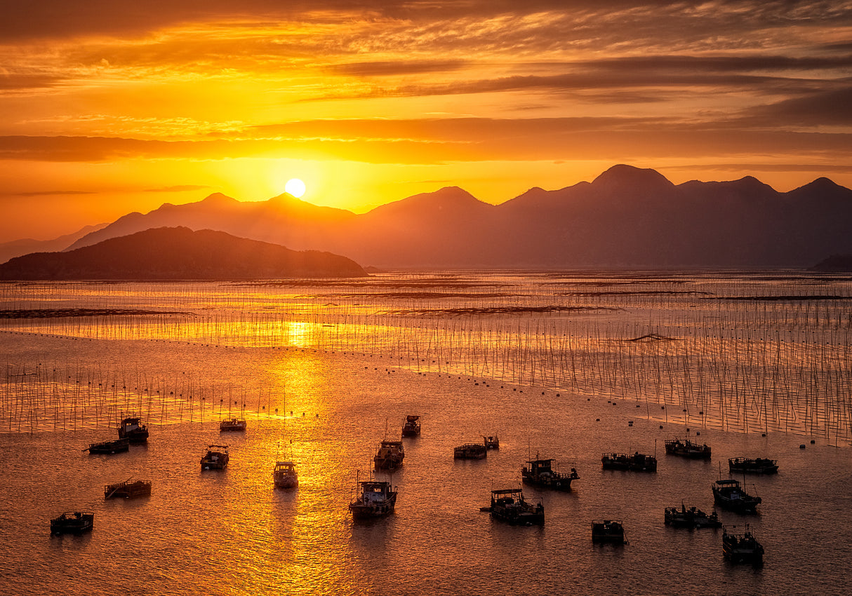 Fishing boats under sunset. Poster och Canvastavla