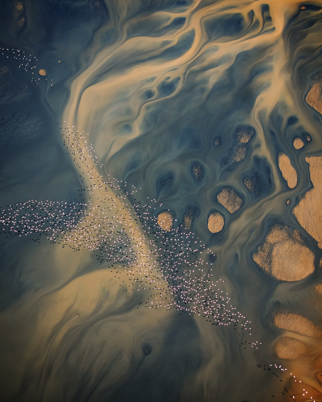 Flowing landscape Poster och Canvastavla