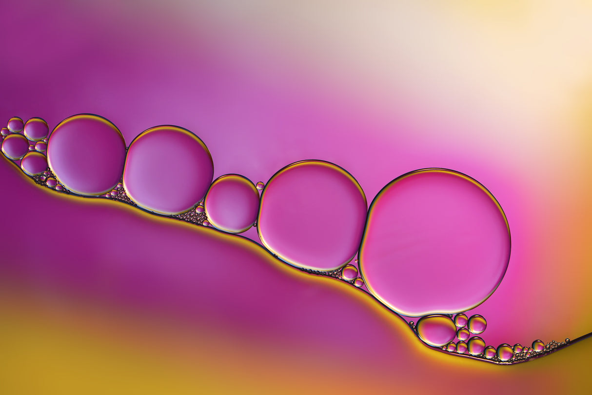 Sweet blush Poster och Canvastavla