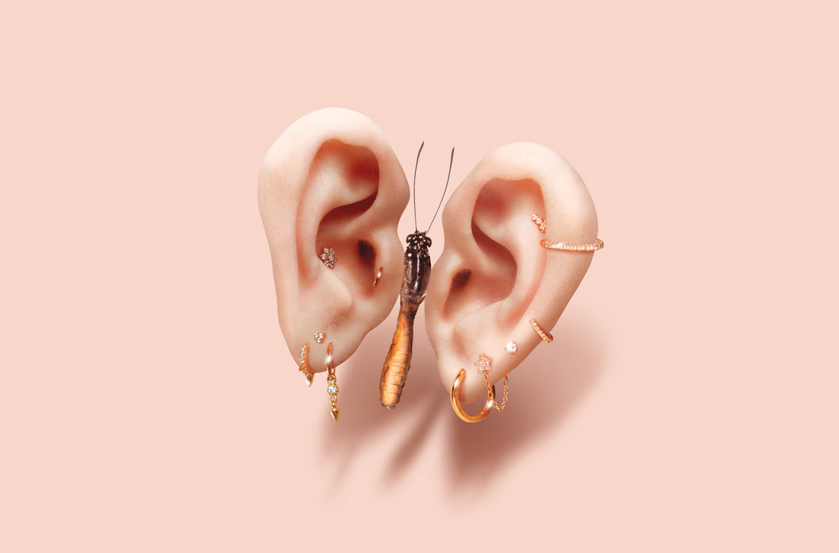 Butterfly Ears Poster och Canvastavla