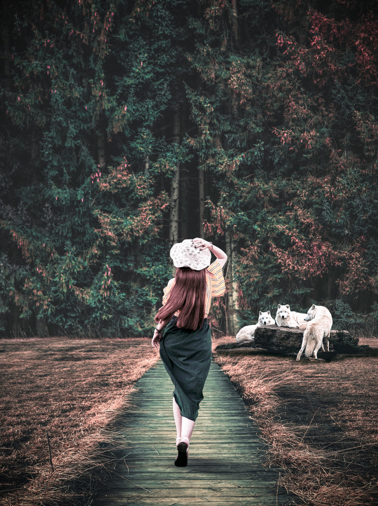 the little Red and the white wolfs Poster och Canvastavla