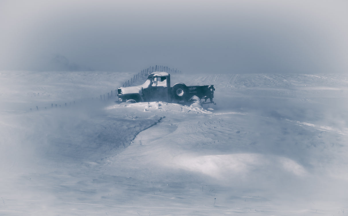 In the blizzard Poster och Canvastavla