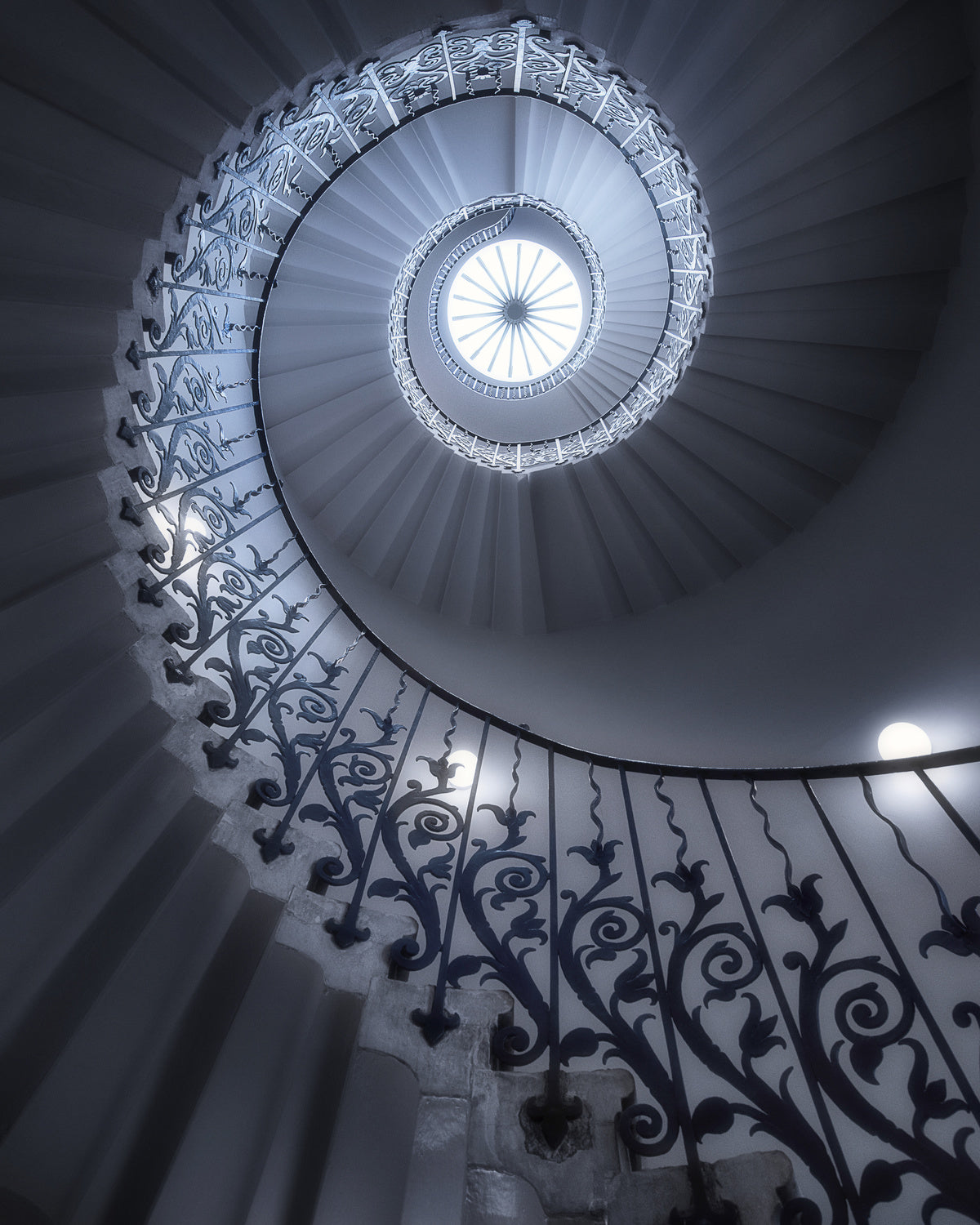 Tulip Stairs Poster och Canvastavla