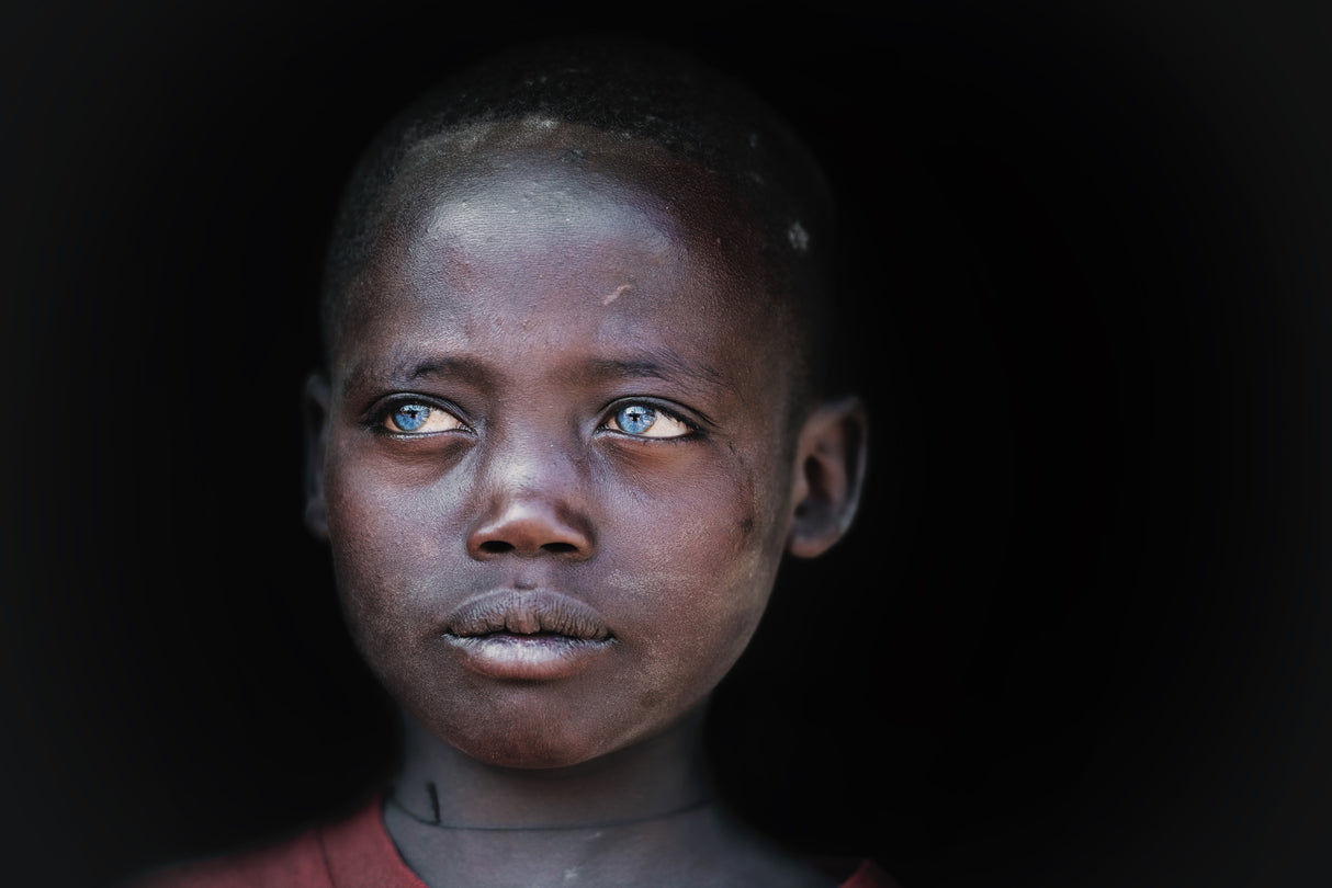 Cerulean eyes Poster och Canvastavla