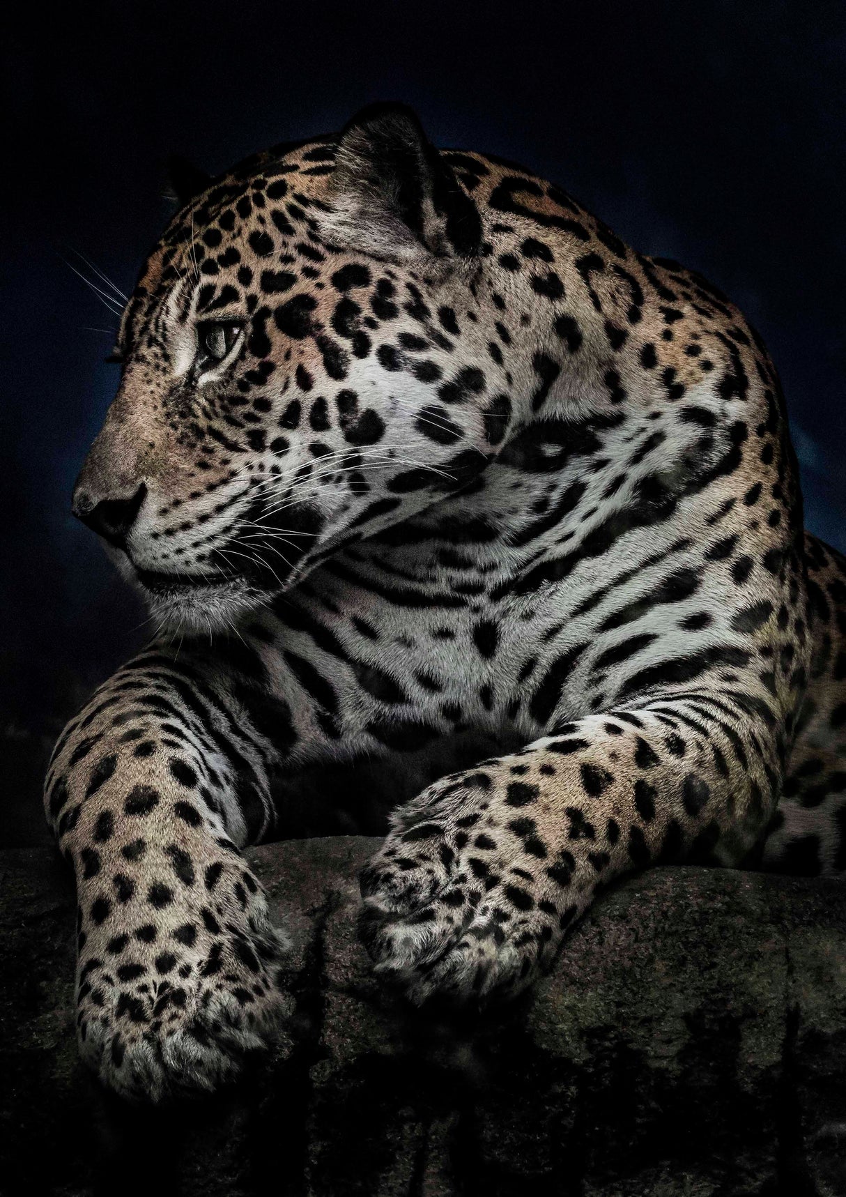 En stund efter middagen poster