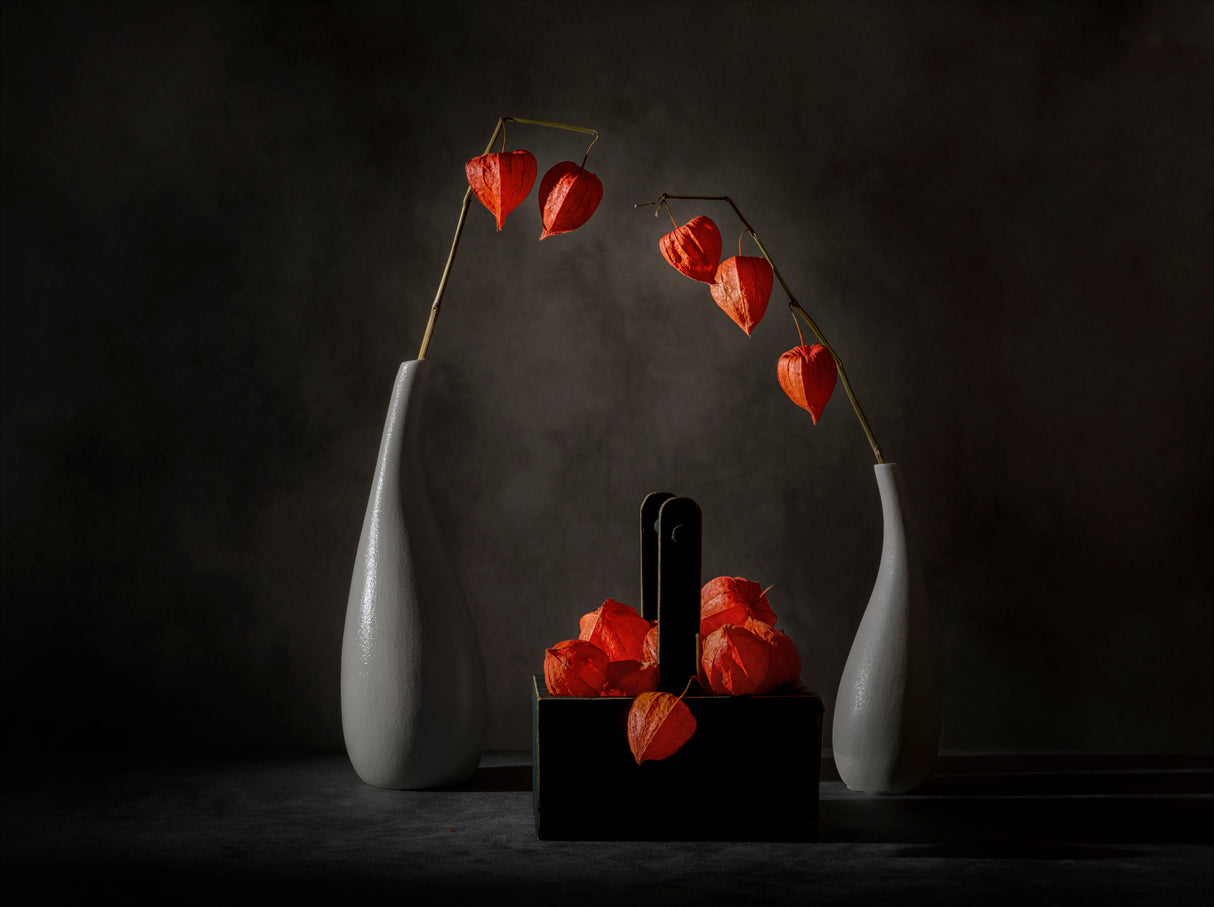 Hanging red lantern Poster och Canvastavla