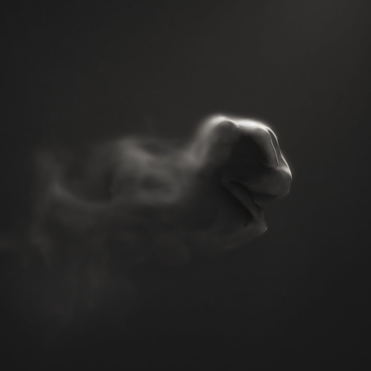 Dark Poster och Canvastavla