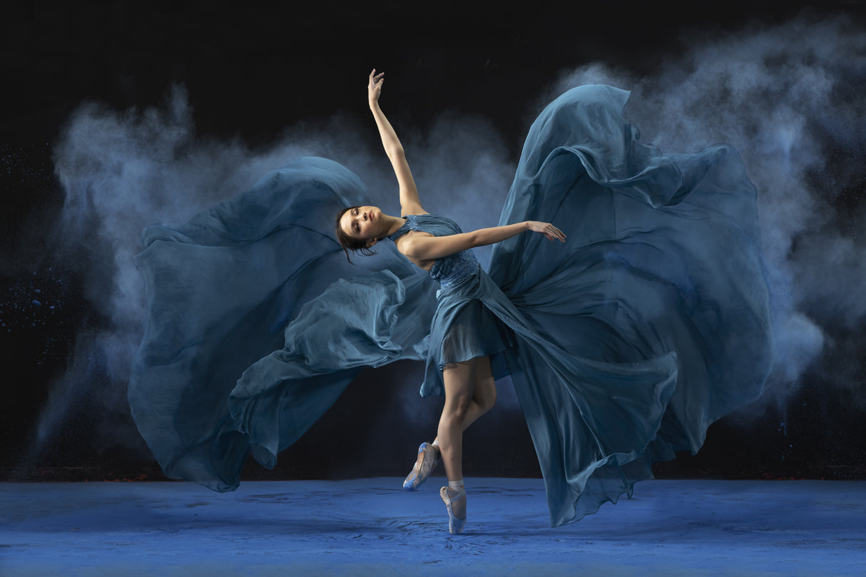 Rasa Ballerina Poster och Canvastavla