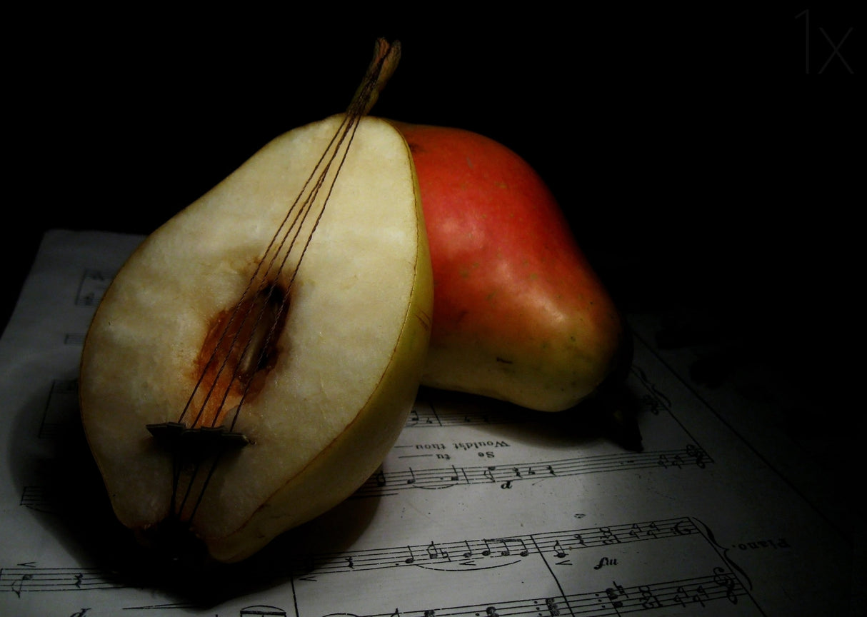 still life Poster och Canvastavla